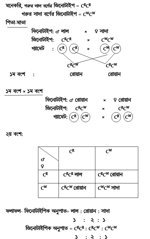 সমপ্রকটতা (Codominance) কী? সমপ্রকটতা উদাহরণসহ ব্যাখ্যা।