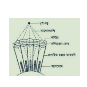 অ্যাপােজিশন প্রতিবিম্ব সৃষ্টির কৌশল। তীব্র আলোতে দর্শন কৌশোল।
