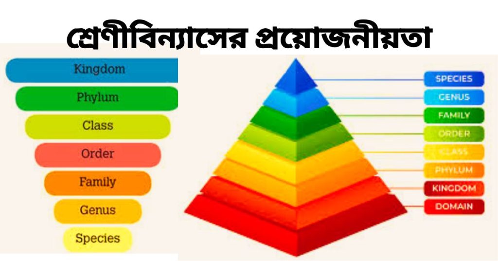 শ্রেণীবিন্যাসের প্রয়ােজনীয়তা।