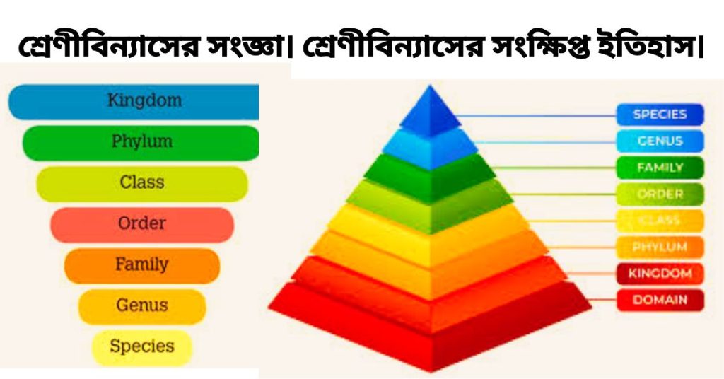 শ্রেণীবিন্যাসের সংজ্ঞা। শ্রেণীবিন্যাসের সংক্ষিপ্ত ইতিহাস।