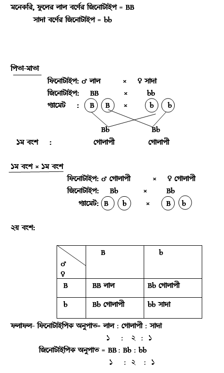 অসম্পূর্ণ প্রকটতা (Incomplete Dominance)
