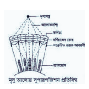 সুপারপজিশন প্রতিবিম্ব সৃষ্টির কৌশল।